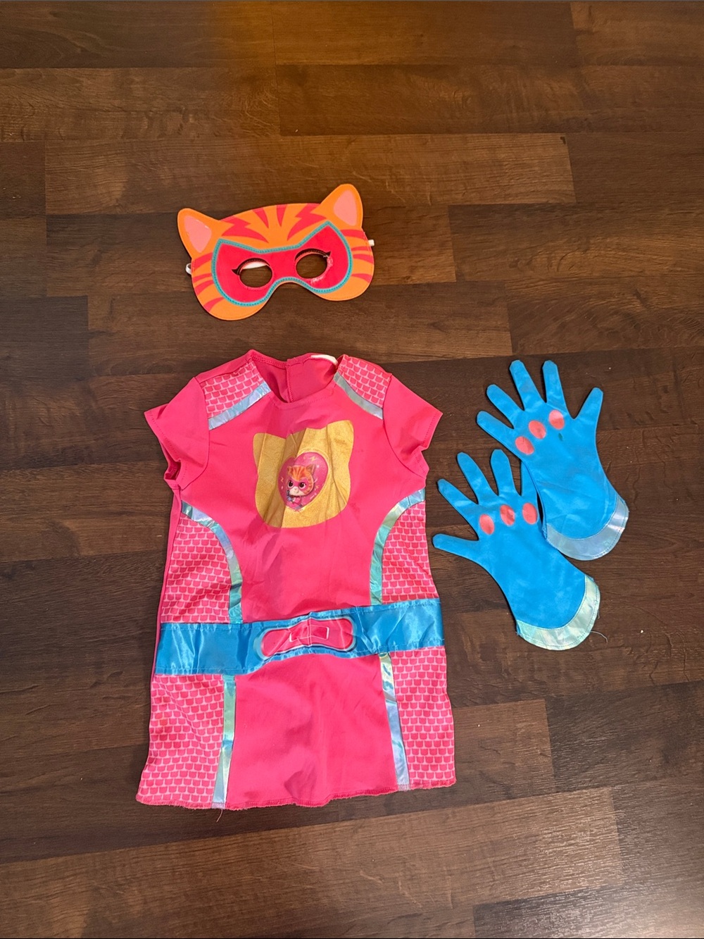 Super Kitties Ginny Costume